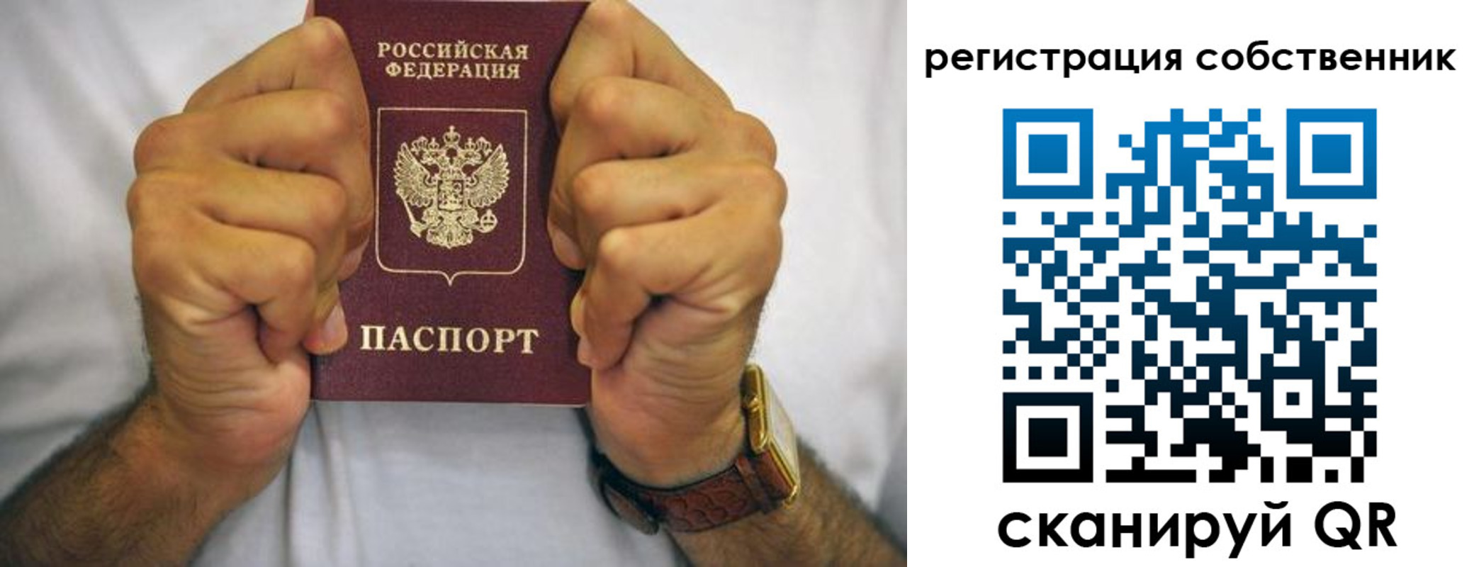 временная регистрация в Мончегорске